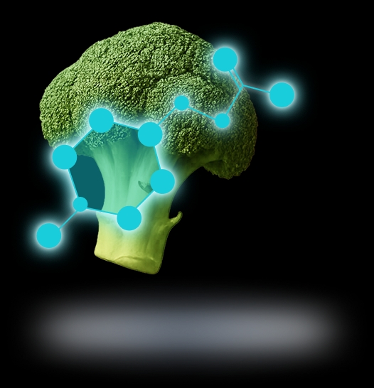 Broccoli
